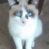 @juanyaricortez12597