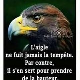 @branhamsalomon60526